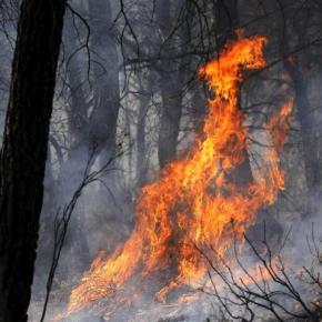 Los que deberían ser&nbsp;extinguidos
