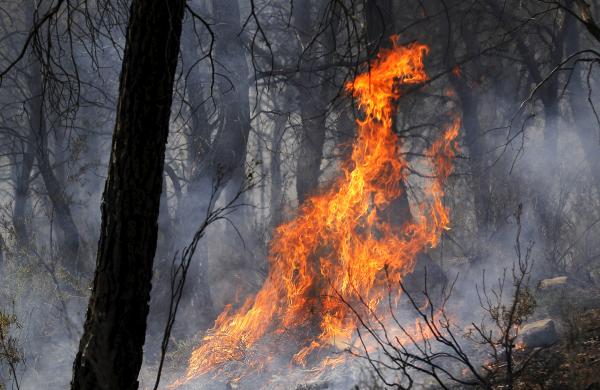 Fuego en Llíria | Foto: EFE/Försterling