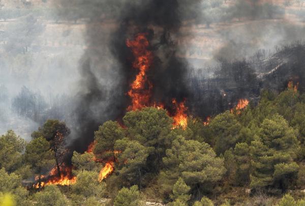 El incendio en Carlet | EFE/Reuters