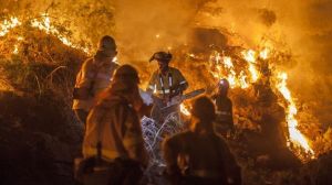 Miembros de la Brigada contra Incendios Forestales de Iznalloz y Puerto Lobo (Granada) tratan de extinguir un incendio en Bedar (Almería), el 26 de agosto de 2012 | Foto: PEDRO ARMESTRE (C)/CALAMAR2