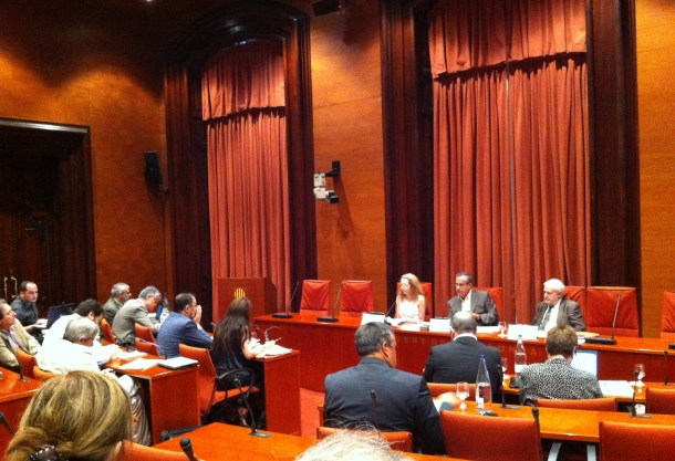 20130712_Nicola Tanno, de @stopbalesdegoma : “Esto es violencia”