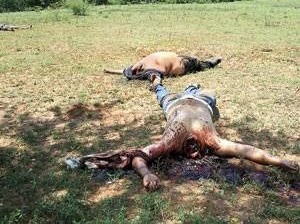 Dos de los cuerpos decapitados de 15 hombres de entre 25 y 30 años cerca de un centro comercial en Acapulco en enero de 2011 | Foto: La Verdad Informativa